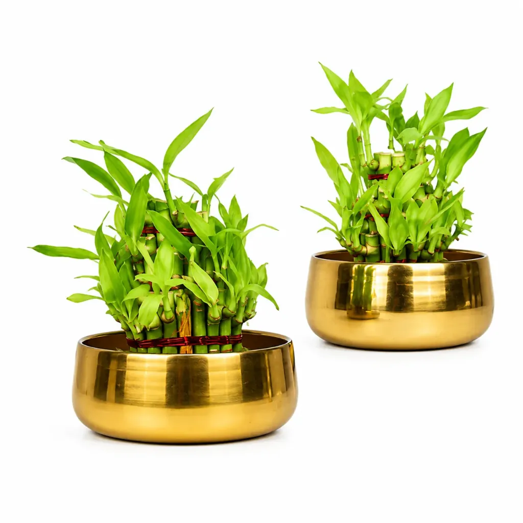 [AHR Creation] Capsule Planter